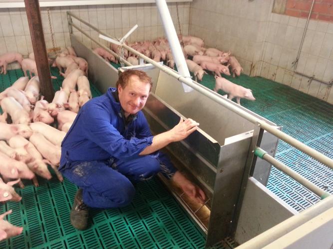 Landwirt Kemper zwischen seinen Ferkeln